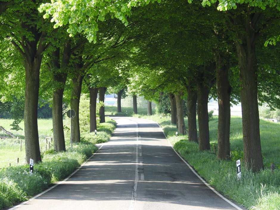 Baumallee, Bislich